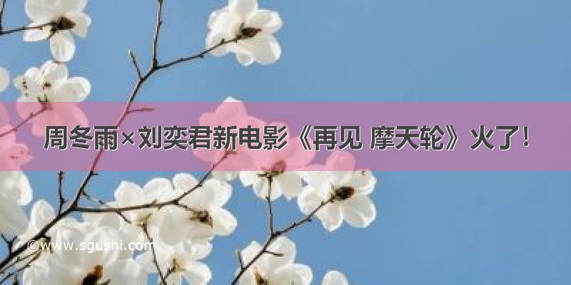 周冬雨×刘奕君新电影《再见 摩天轮》火了！