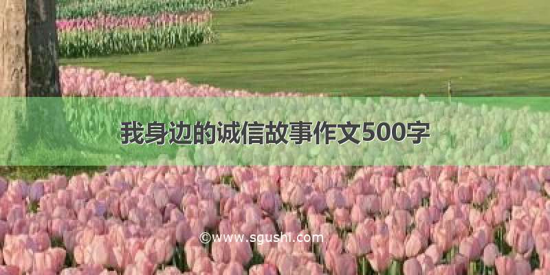 我身边的诚信故事作文500字