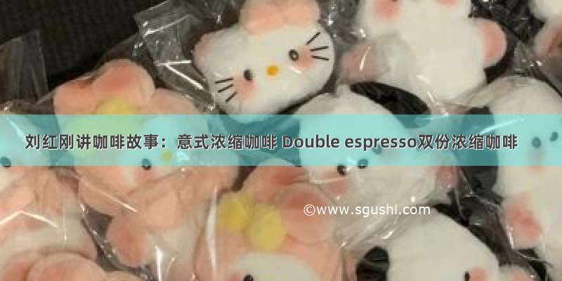 刘红刚讲咖啡故事：意式浓缩咖啡 Double espresso双份浓缩咖啡