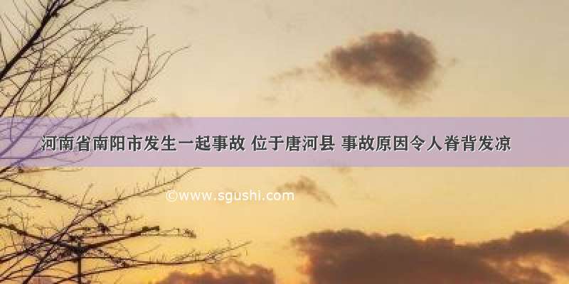 河南省南阳市发生一起事故 位于唐河县 事故原因令人脊背发凉