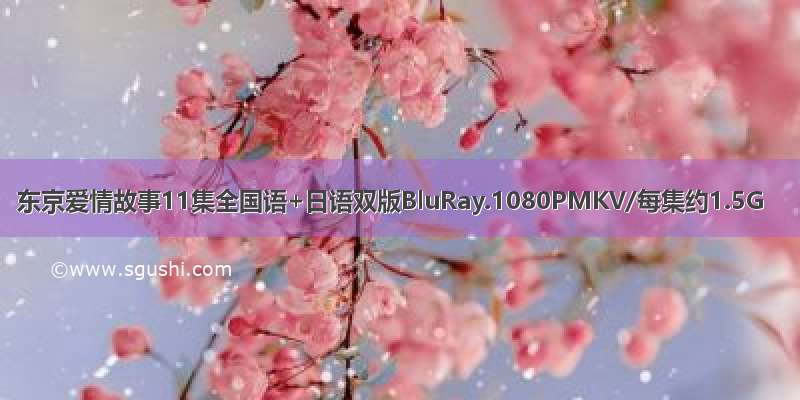 东京爱情故事11集全国语+日语双版BluRay.1080PMKV/每集约1.5G