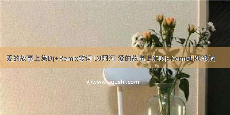 爱的故事上集Dj+Remix歌词 DJ阿河 爱的故事上集Dj+RemixLRC歌词