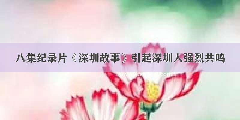 八集纪录片《深圳故事》引起深圳人强烈共鸣