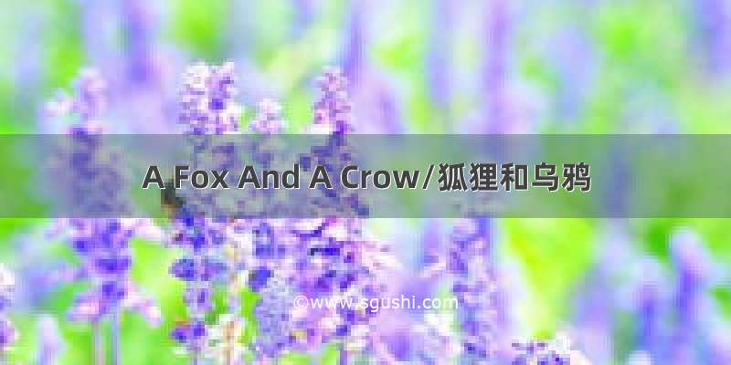A Fox And A Crow/狐狸和乌鸦
