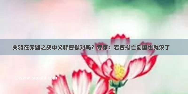 关羽在赤壁之战中义释曹操对吗？专家：若曹操亡蜀国也就没了