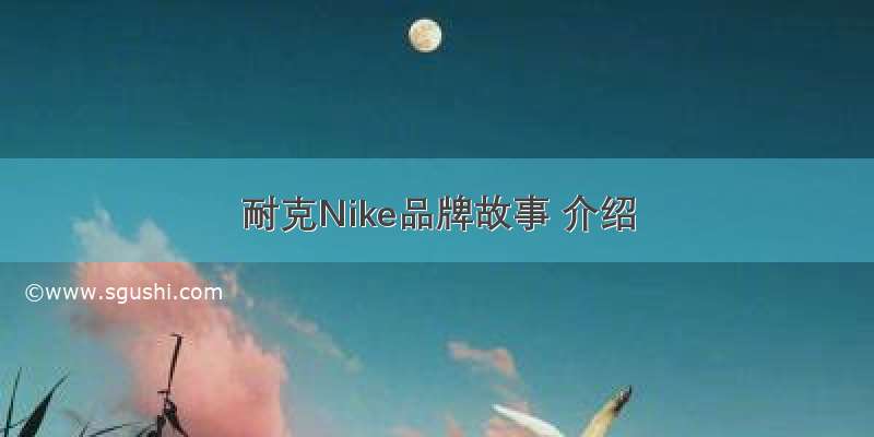 耐克Nike品牌故事 介绍