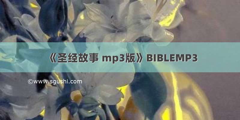 《圣经故事 mp3版》BIBLEMP3