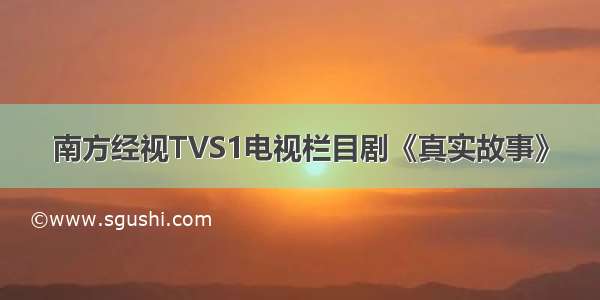南方经视TVS1电视栏目剧《真实故事》