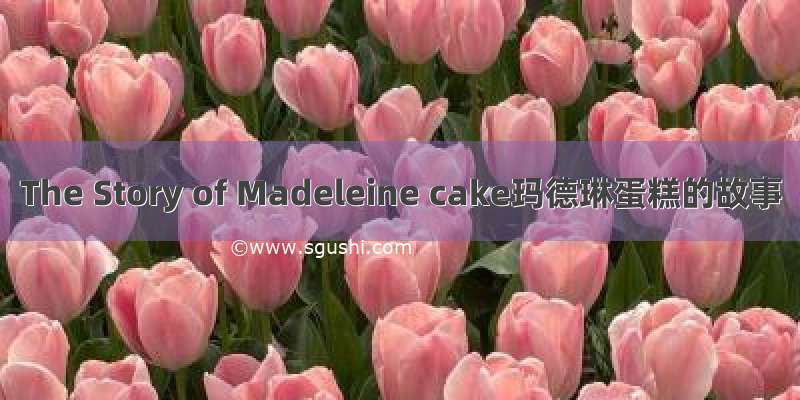 The Story of Madeleine cake玛德琳蛋糕的故事