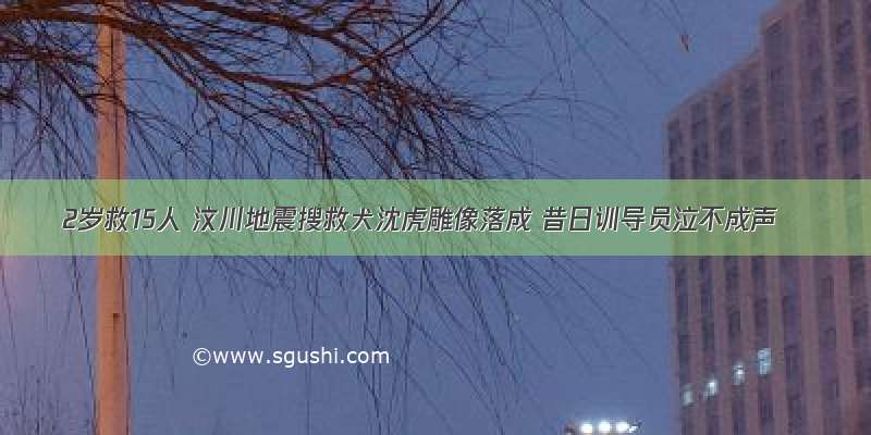 2岁救15人 汶川地震搜救犬沈虎雕像落成 昔日训导员泣不成声