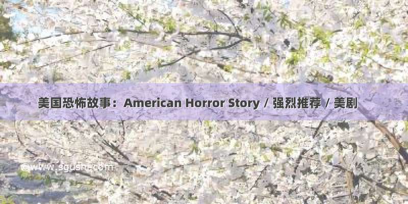 美国恐怖故事：American Horror Story / 强烈推荐 / 美剧