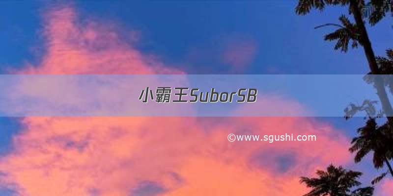 小霸王SuborSB