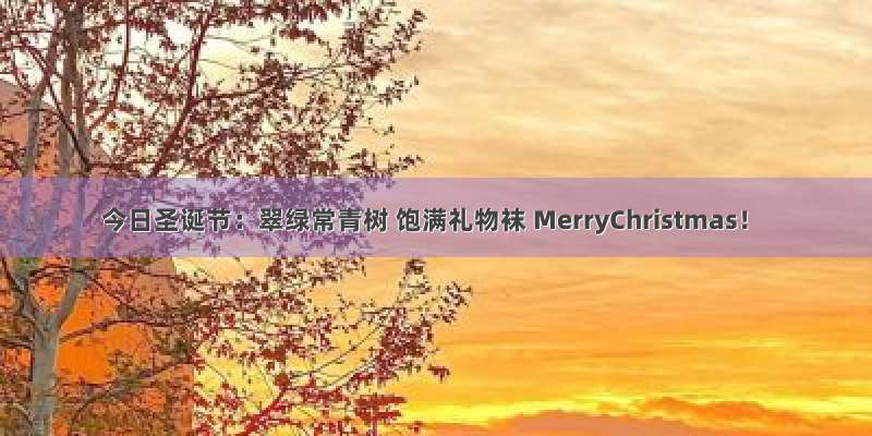 今日圣诞节：翠绿常青树 饱满礼物袜 MerryChristmas！