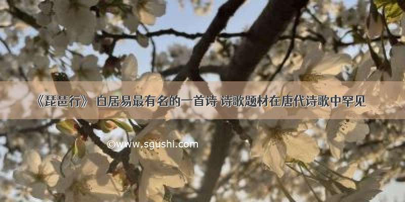 《琵琶行》 白居易最有名的一首诗 诗歌题材在唐代诗歌中罕见