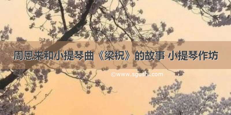 周恩来和小提琴曲《梁祝》的故事 小提琴作坊