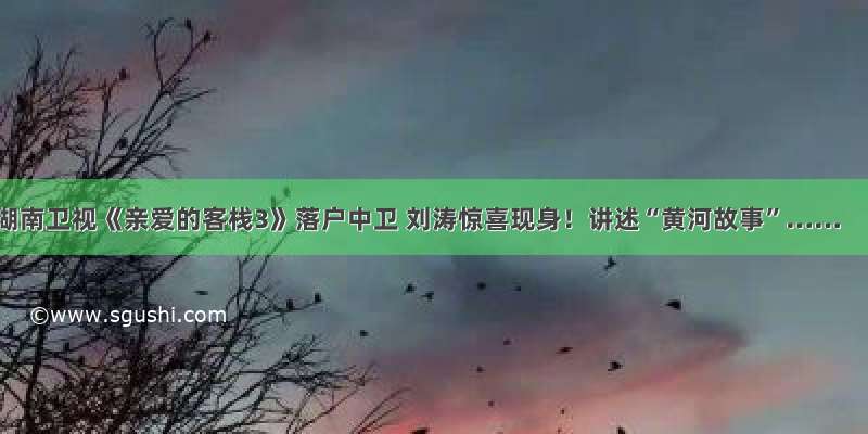 湖南卫视《亲爱的客栈3》落户中卫 刘涛惊喜现身！讲述“黄河故事”……