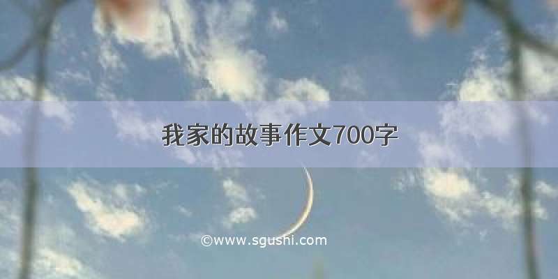 我家的故事作文700字