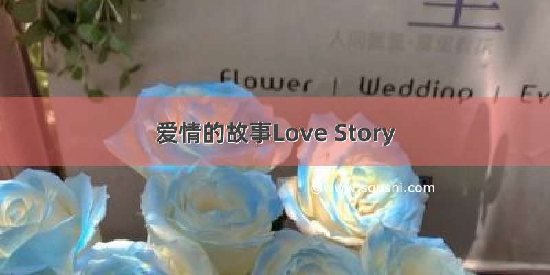 爱情的故事Love Story