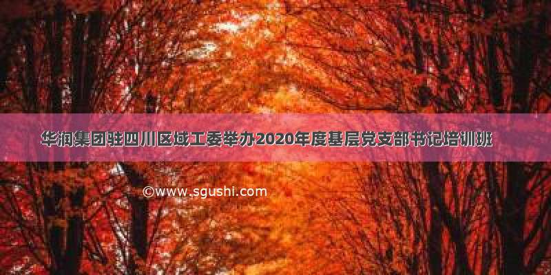华润集团驻四川区域工委举办2020年度基层党支部书记培训班