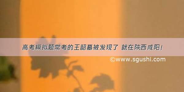 高考模拟题常考的王韶墓被发现了 就在陕西咸阳！
