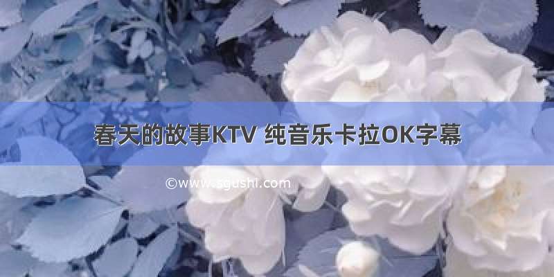 春天的故事KTV 纯音乐卡拉OK字幕