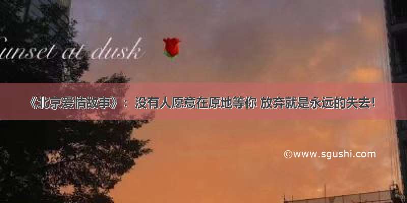《北京爱情故事》：没有人愿意在原地等你 放弃就是永远的失去！