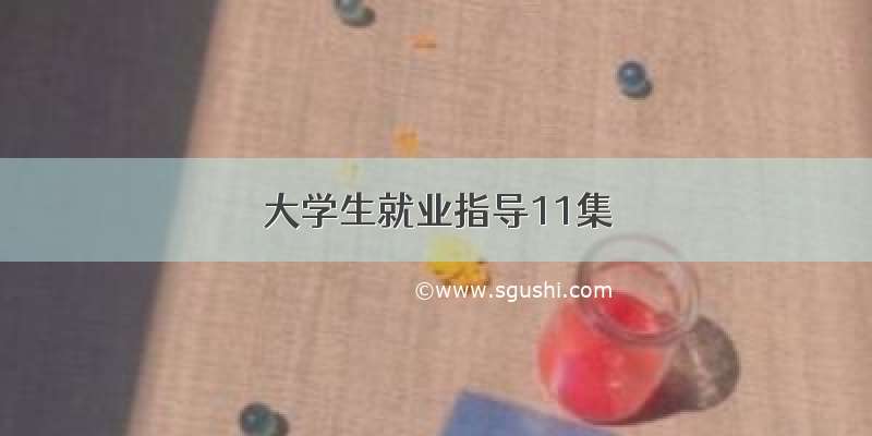 大学生就业指导11集