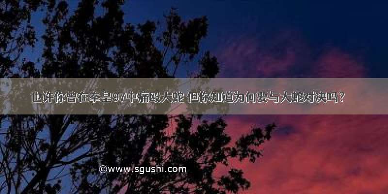 也许你曾在拳皇97中痛殴大蛇 但你知道为何要与大蛇对决吗？