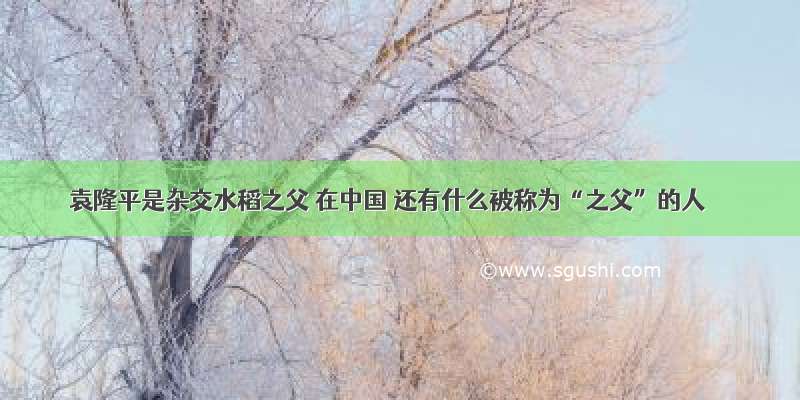 袁隆平是杂交水稻之父 在中国 还有什么被称为“之父”的人