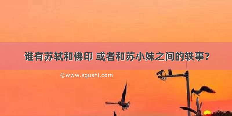 谁有苏轼和佛印 或者和苏小妹之间的轶事？