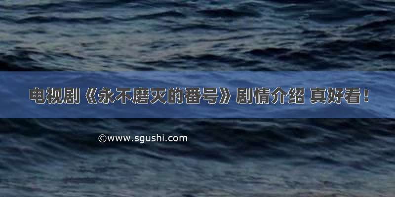 电视剧《永不磨灭的番号》剧情介绍 真好看！