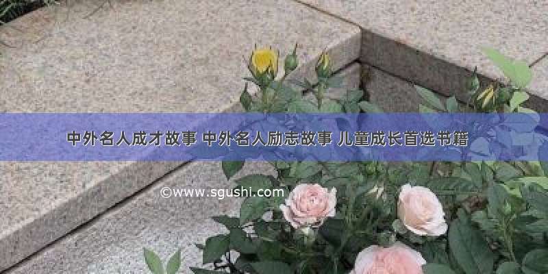 中外名人成才故事 中外名人励志故事 儿童成长首选书籍