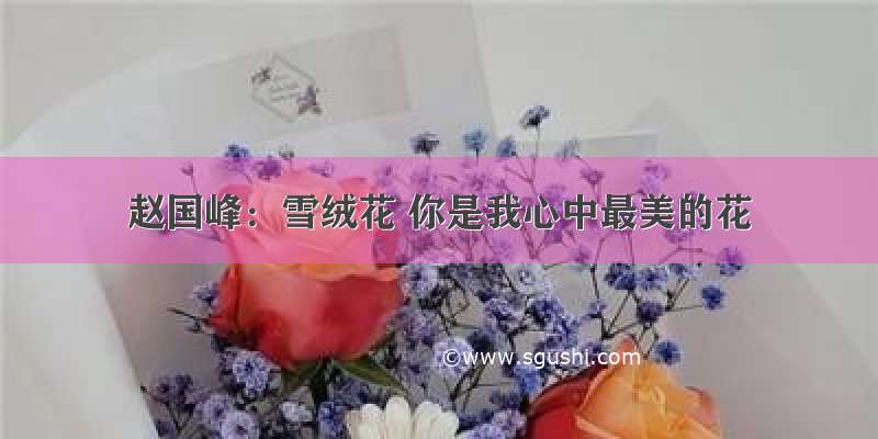 赵国峰：雪绒花 你是我心中最美的花