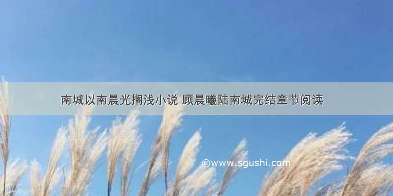 南城以南晨光搁浅小说 顾晨曦陆南城完结章节阅读