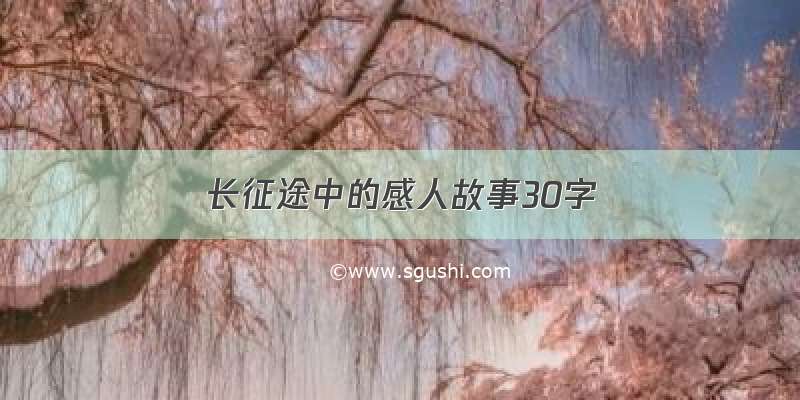 长征途中的感人故事30字