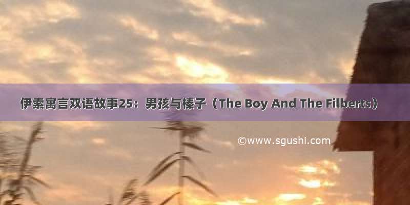 伊索寓言双语故事25：男孩与榛子（The Boy And The Filberts）