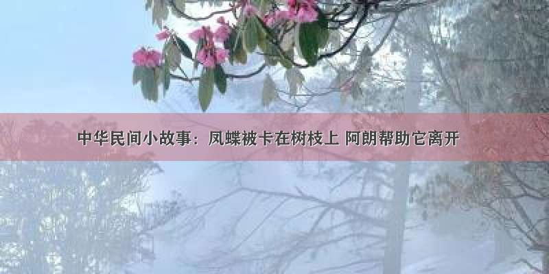 中华民间小故事：凤蝶被卡在树枝上 阿朗帮助它离开