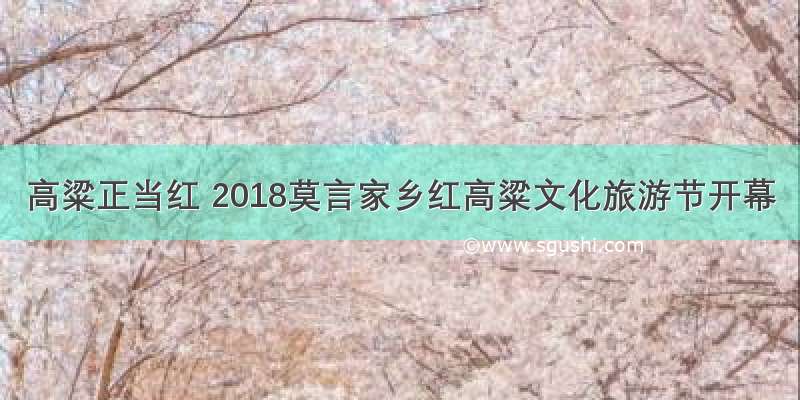 高粱正当红 2018莫言家乡红高粱文化旅游节开幕