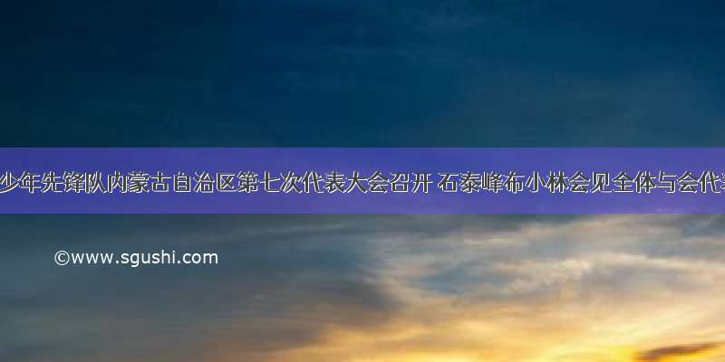 中国少年先锋队内蒙古自治区第七次代表大会召开 石泰峰布小林会见全体与会代表