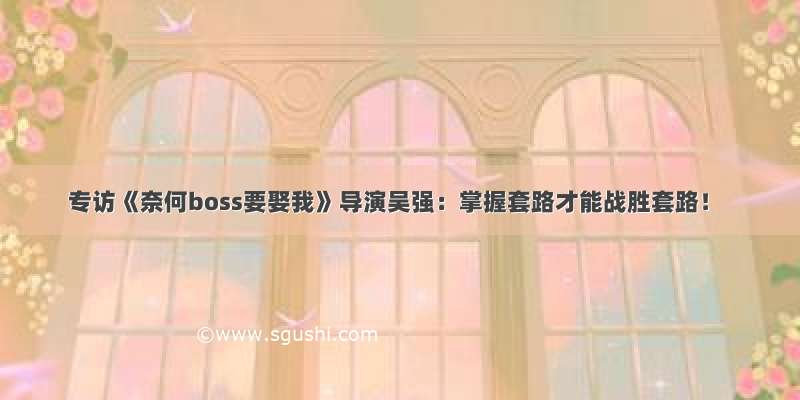 专访《奈何boss要娶我》导演吴强：掌握套路才能战胜套路！