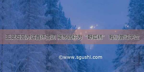 王安石因为这首怀古词 被苏轼称为“野狐精” 我们曾经学过