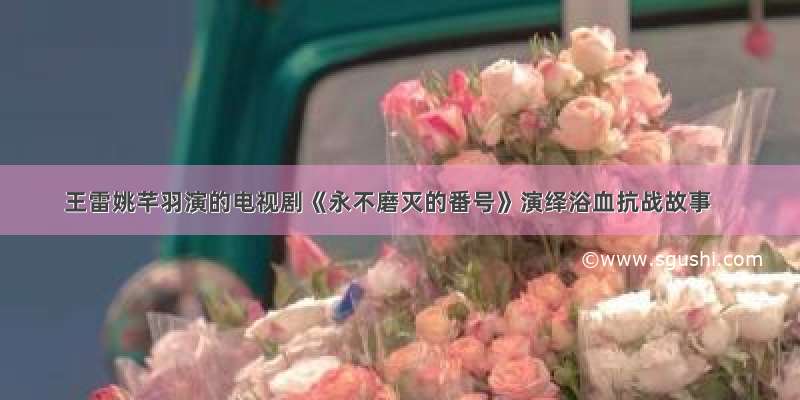 王雷姚芊羽演的电视剧《永不磨灭的番号》演绎浴血抗战故事