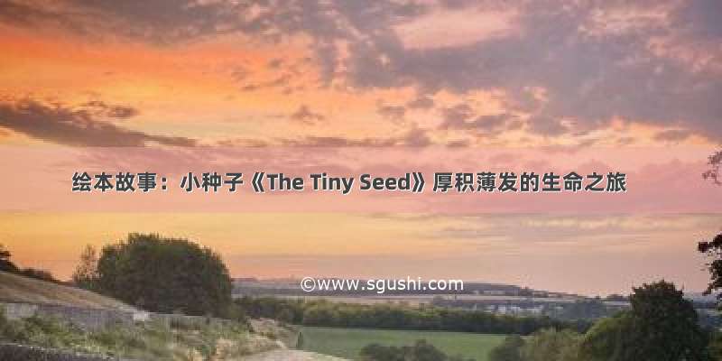 绘本故事：小种子《The Tiny Seed》厚积薄发的生命之旅