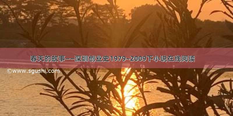 春天的故事——深圳创业史1979~2009下小说在线阅读