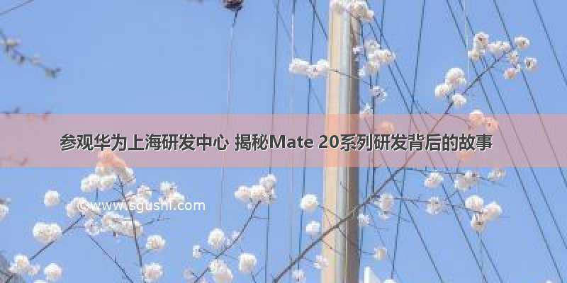 参观华为上海研发中心 揭秘Mate 20系列研发背后的故事