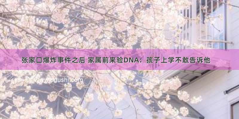 张家口爆炸事件之后 家属前来验DNA：孩子上学不敢告诉他