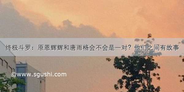 终极斗罗：原恩辉辉和唐雨格会不会是一对？他们之间有故事