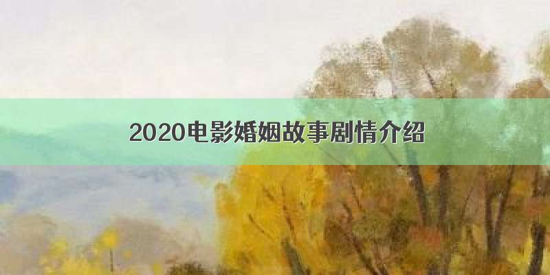 2020电影婚姻故事剧情介绍