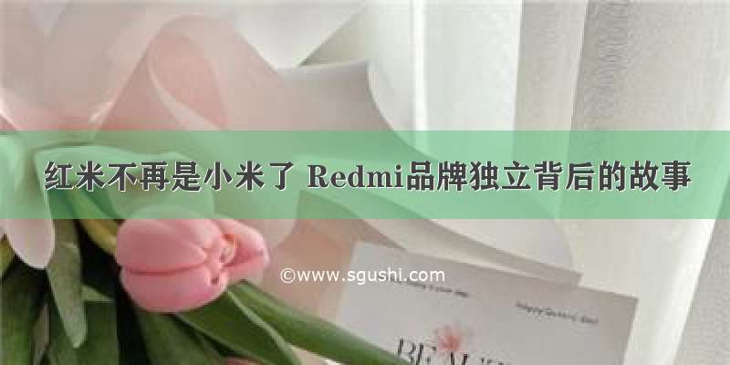 红米不再是小米了 Redmi品牌独立背后的故事