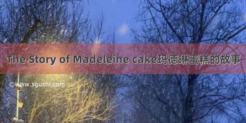 The Story of Madeleine cake玛德琳蛋糕的故事